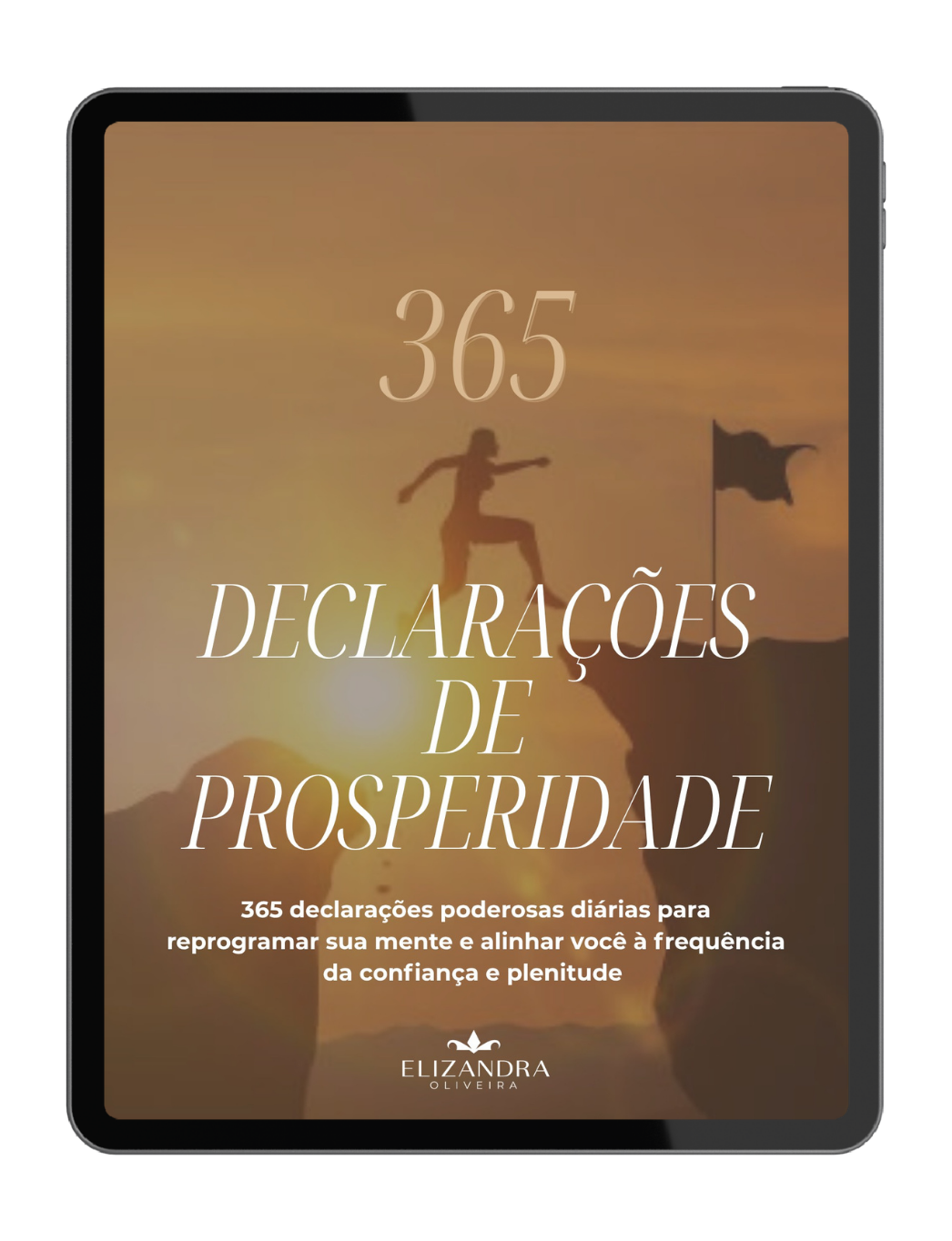 Handbook 365 Declarações Diárias